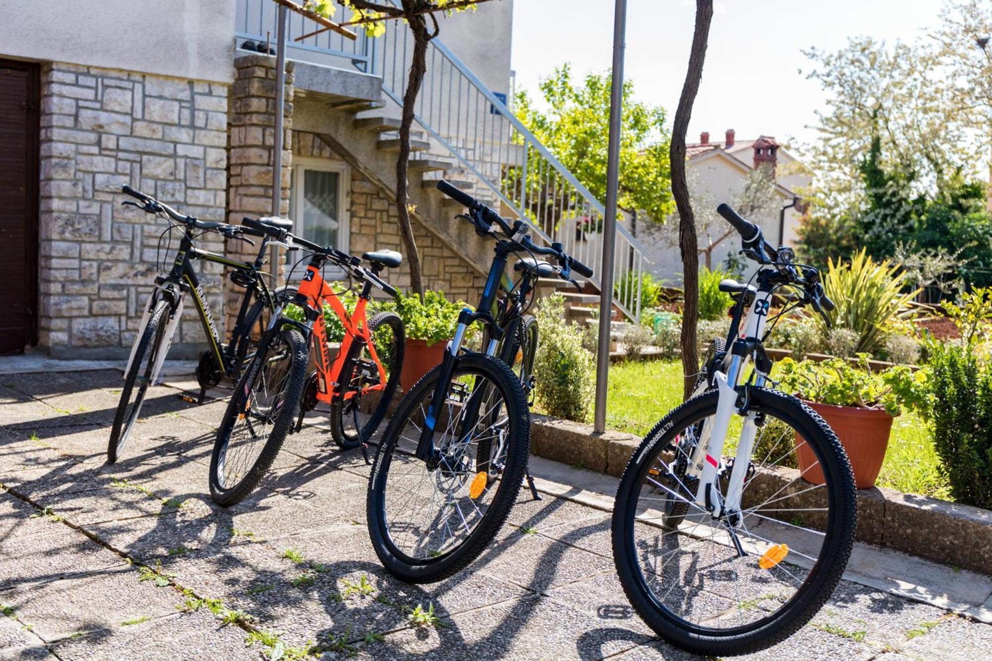 Apartment Tesic Close To The Sea With Shared 4Xbicycles Fažana Exterior foto